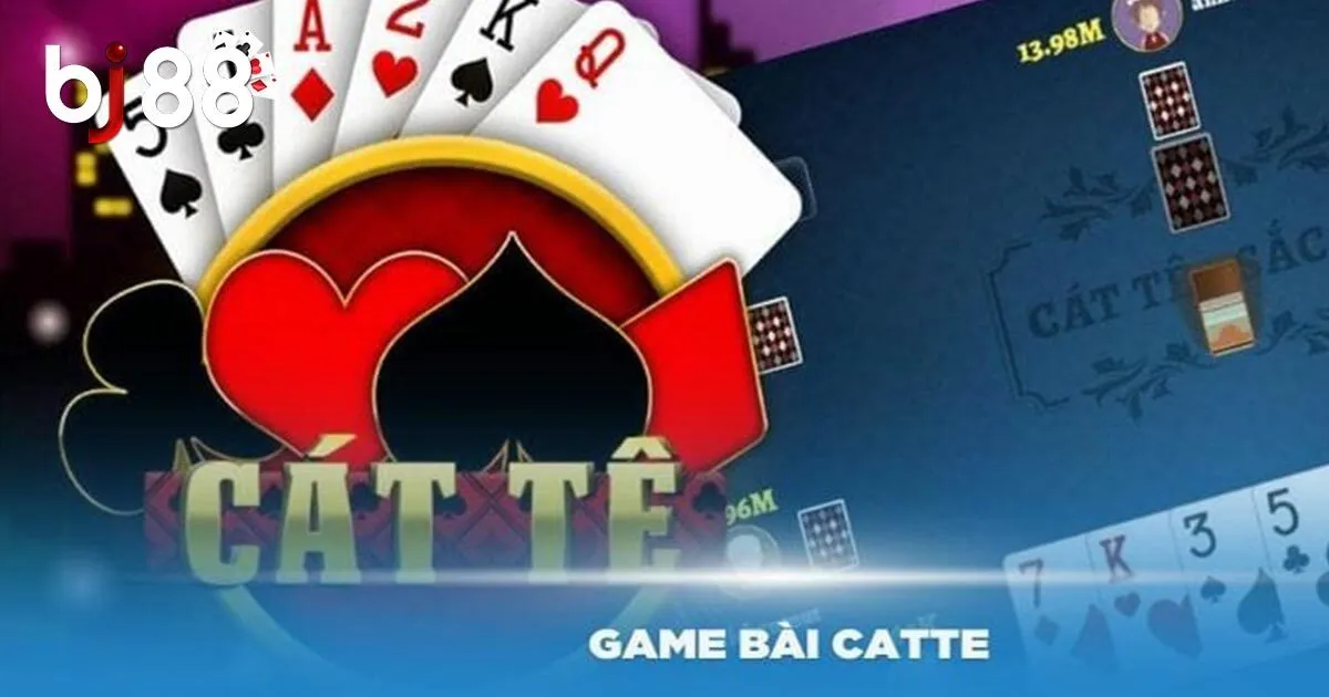 Một số mẹo đo&aacute;n nước b&agrave;i catte