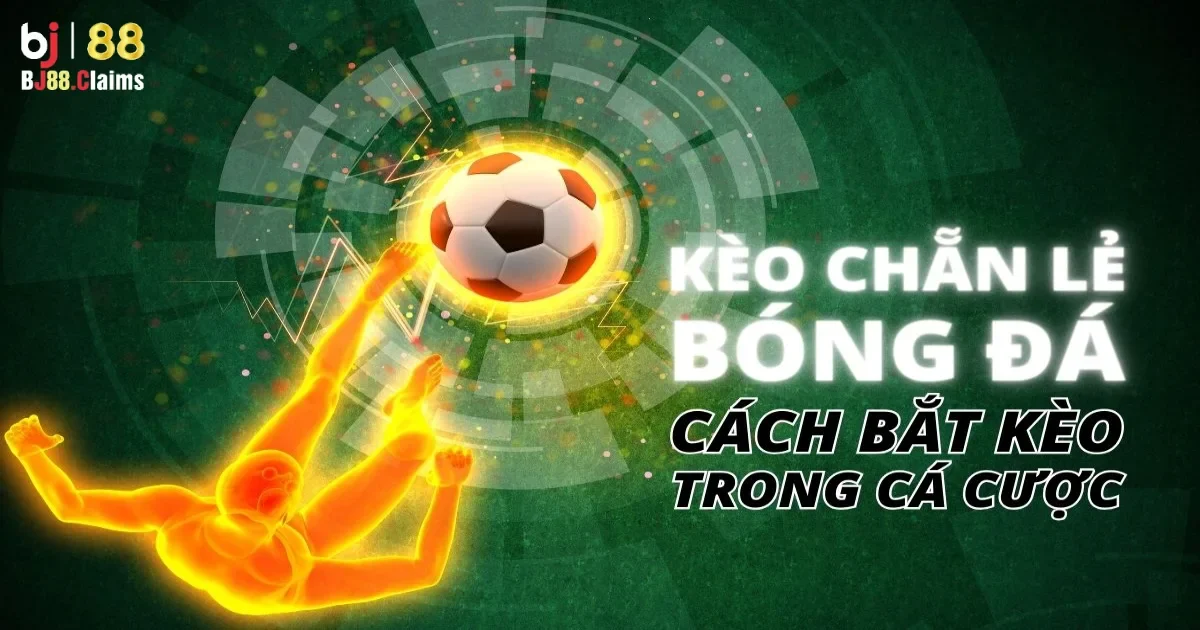 Theo d&otilde;i v&agrave; điều chỉnh chiến thuật