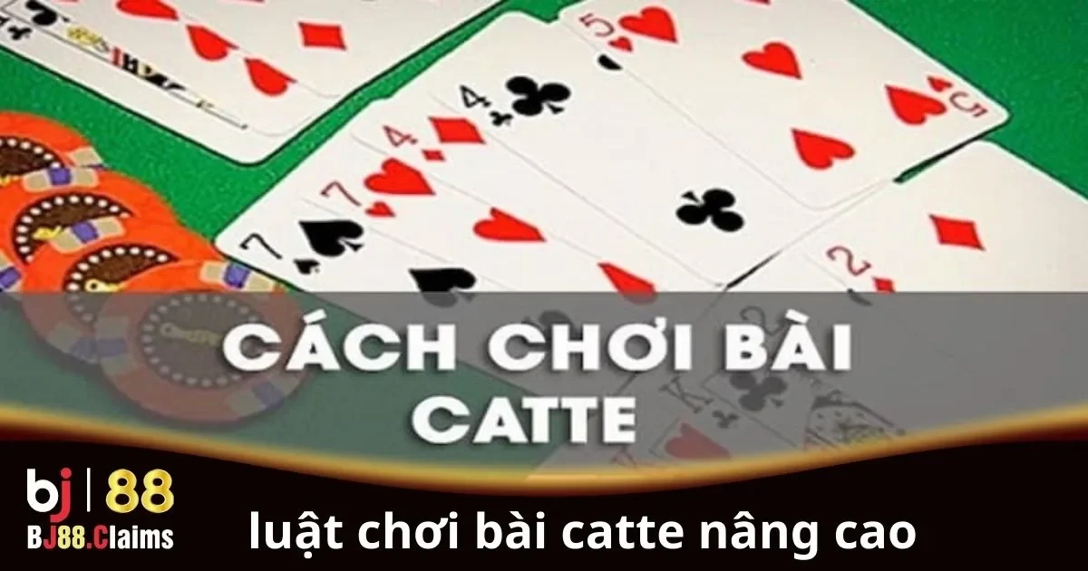 Luật chơi b&agrave;i Catte n&acirc;ng cao cho người chơi chuy&ecirc;n nghiệp