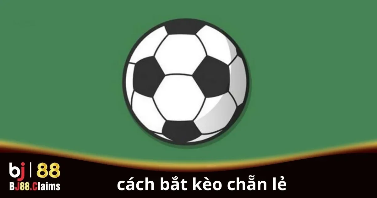 C&aacute;ch bắt k&egrave;o chẵn lẻ cho người chơi mới