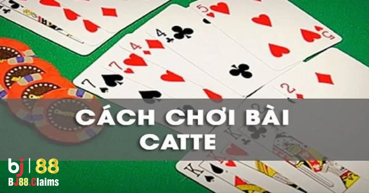 C&aacute;c T&igrave;nh Huống Chiến Thắng Trong B&agrave;i Catte