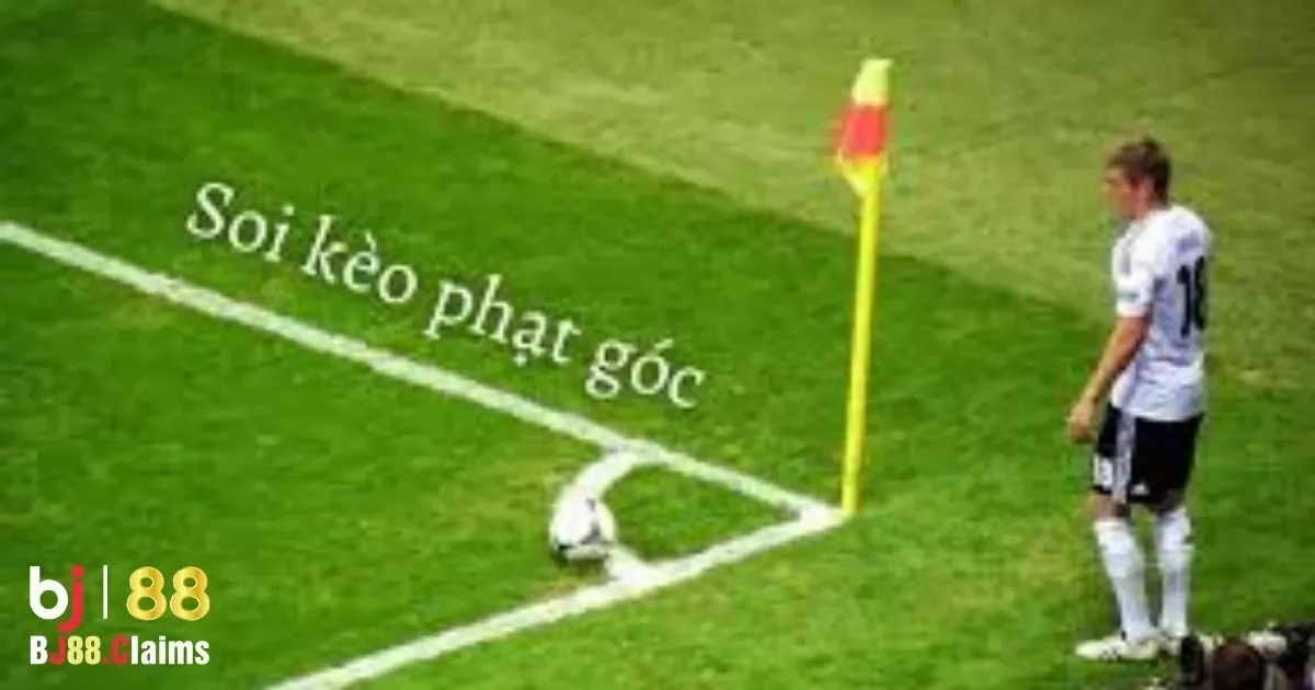 Lựa chọn nh&agrave; c&aacute;i uy t&iacute;n