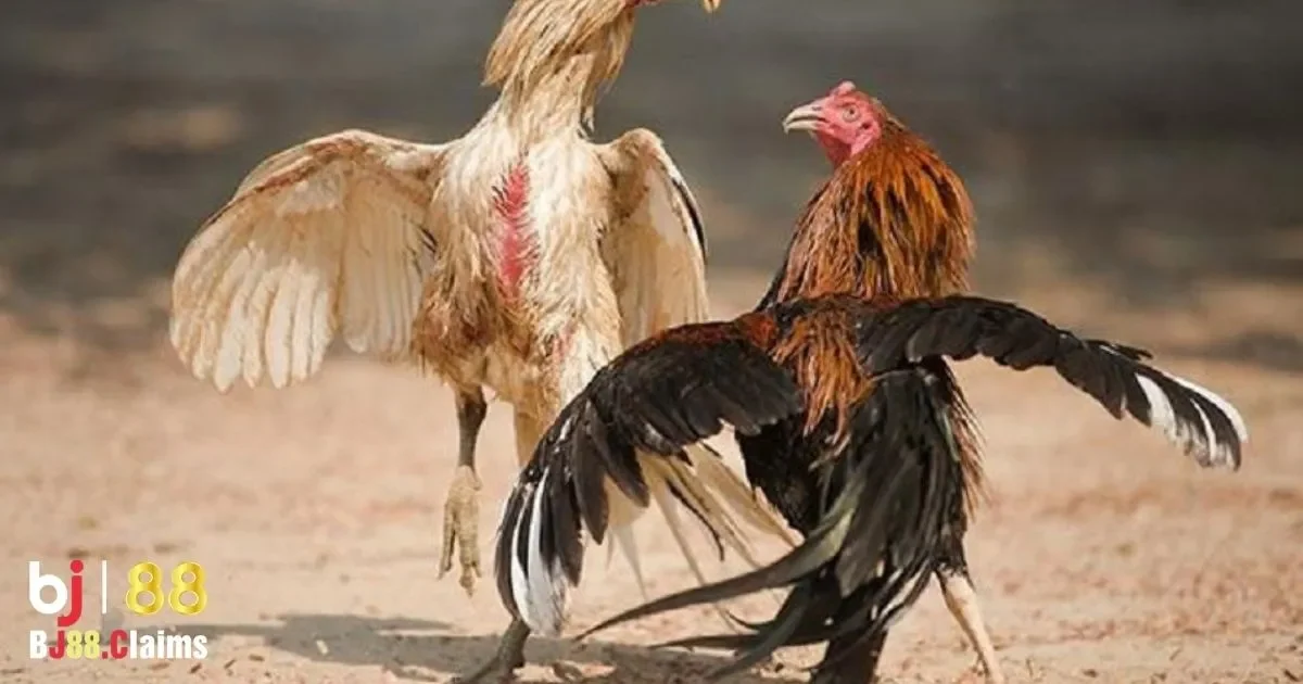 Chế Độ Dinh Dưỡng Ho&agrave;n Hảo